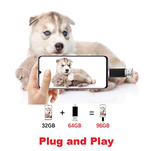 Sanfeya 64GB USB-C Dual OTG Flash Drive