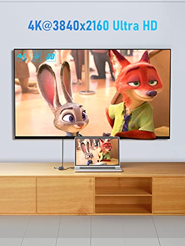 Lemorele 6-in-1 USB-C Hub with 4K HDMI