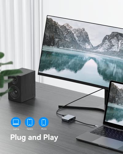ABLEWE 4-in-1 USB-C to HDMI VGA Adapter