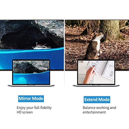 4-in-1 USB-C to HDMI/DVI/VGA Adapter