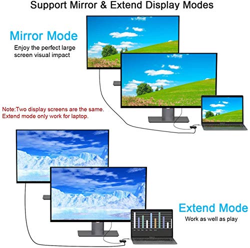 USB C to HDMI and VGA Adapter