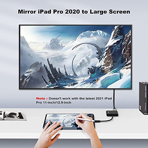 2-in-1 USB-C to VGA HDMI Adapter