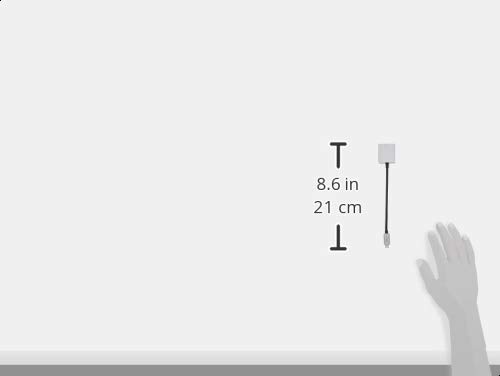 Amazon Basics USB-C to VGA Adapter