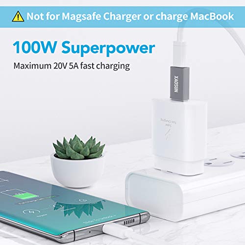 USB-C Female to USB Male Adapter (2-pack)
