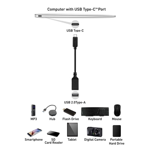 USB-C to USB-A Adapter, 6 Inches Black