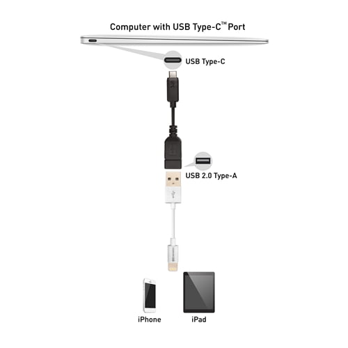 USB-C to USB-A Adapter, 6 Inches Black