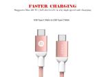 2-Pack Adam Elements 6.6ft USB-C Fast Charging Cable
