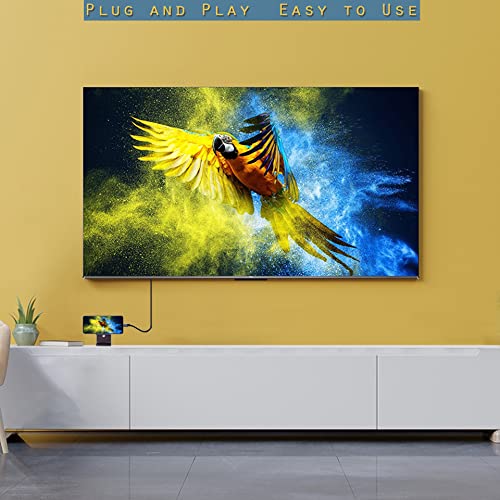 6ft USB-C to HDMI 4K Cable and Adapter