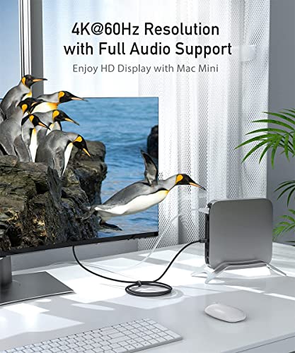USB-C to DisplayPort Cable for Home Office