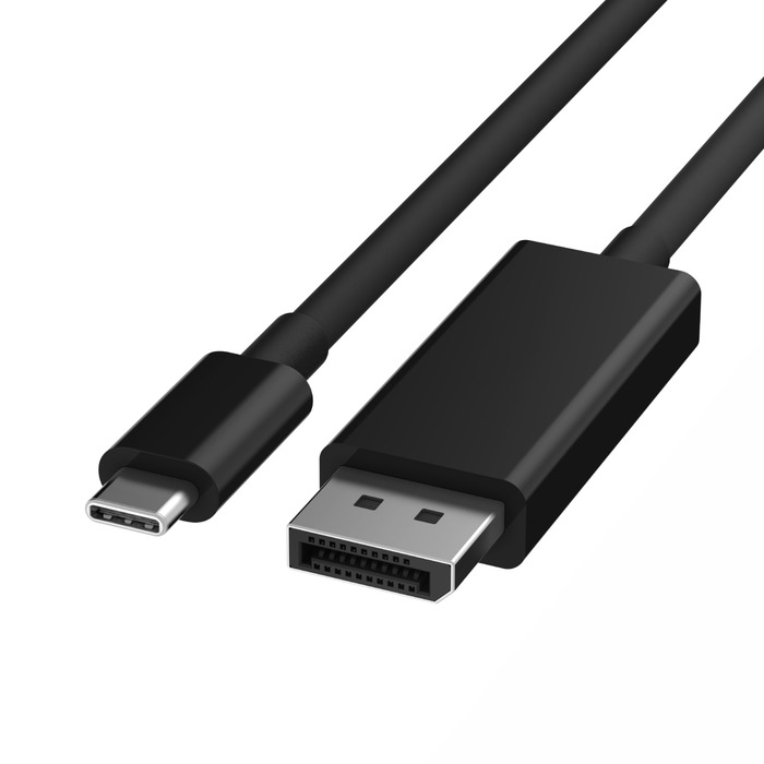 2ft USB-C to DisplayPort Cables