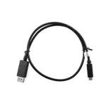 USB-C to DisplayPort Cable - 2ft