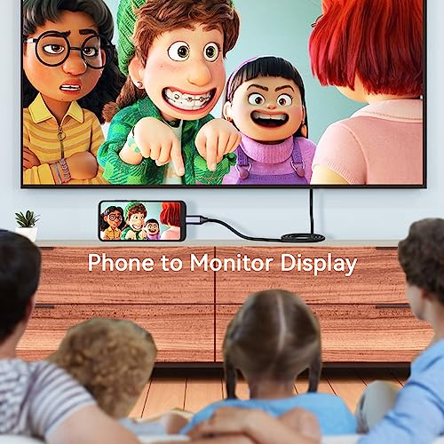 USB-C to DisplayPort Cable 1.8m 4K 60Hz