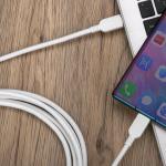 10' USB-C to USB-C Cable - White