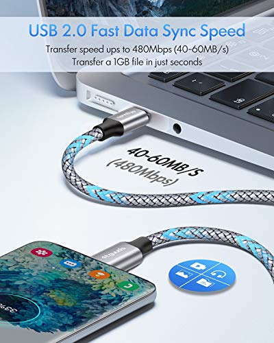 2-pack 3ft Fast Charging USB-C Cable