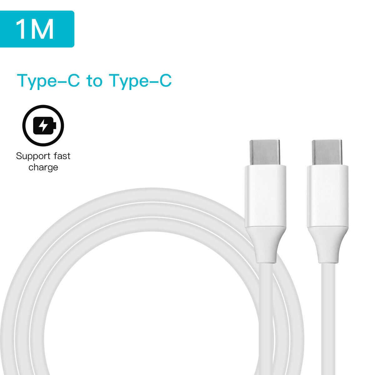 2m USB-C PD 100W Dual Charging Cable