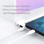 Borz 6FT Fast Charging USB-C Cable