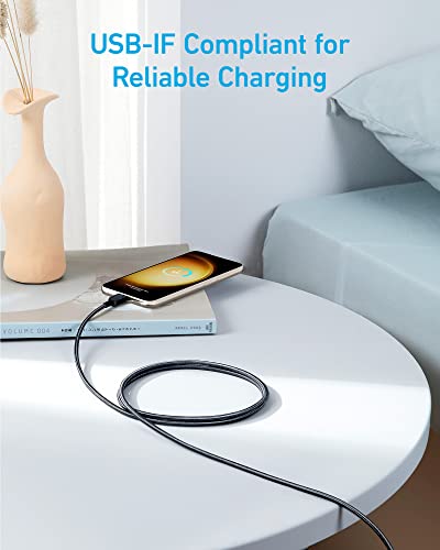 Anker 310 USB-C to USB-C Cable Set