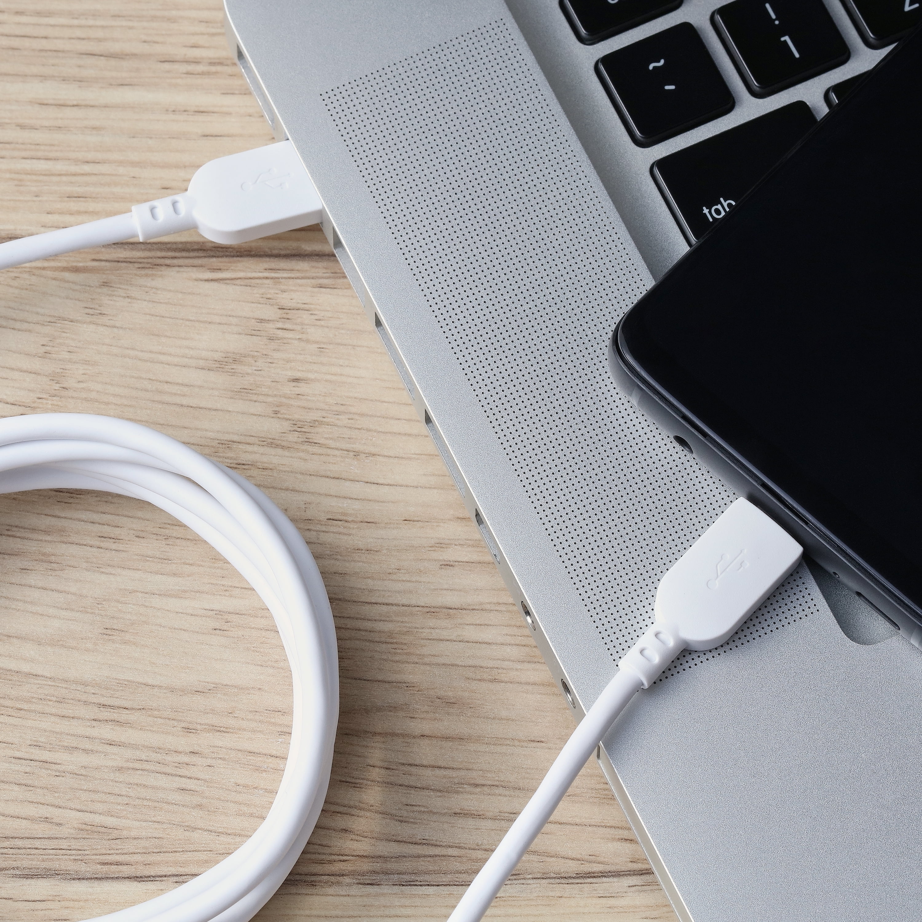 6' USB-C to USB-C Cable in White