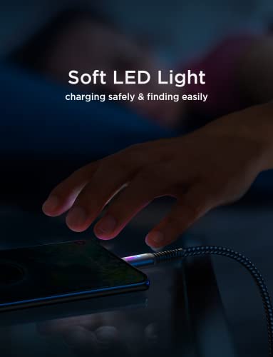 2 Pack 6.6FT USB C Charger Cable with LED