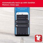 SanDisk 256GB Ultra Dual Drive Luxe USB-C Flash