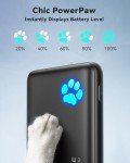 Slim 10000mAh USB-C Power Bank Fast Charger