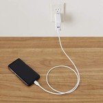 Amazon Basics USB-C to USB-C Fast Charging Cable