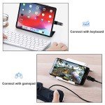 USB-C to USB OTG Adapter (2-Pack)