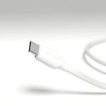 Amazon Basics USB-C to USB-A Fast Charger Cable