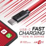 JuicEBitz® Long USB-C to USB-A Charger Cable