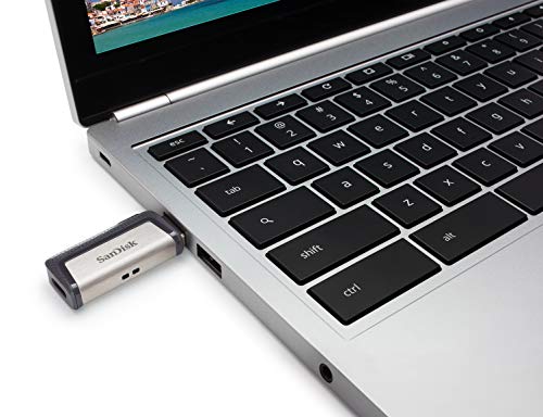 128GB SanDisk Dual USB-C Flash Drive