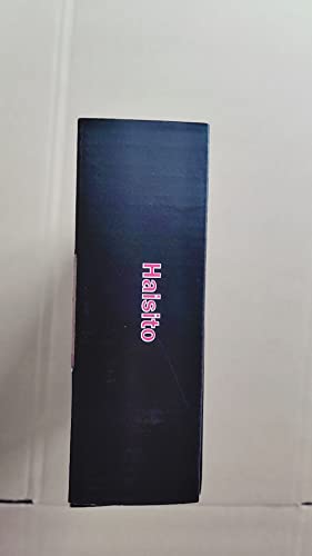 Haisito 80W Multi-Functional RC Battery Charger