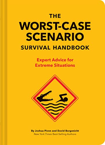 Expert Advice for Extreme Situations Drone