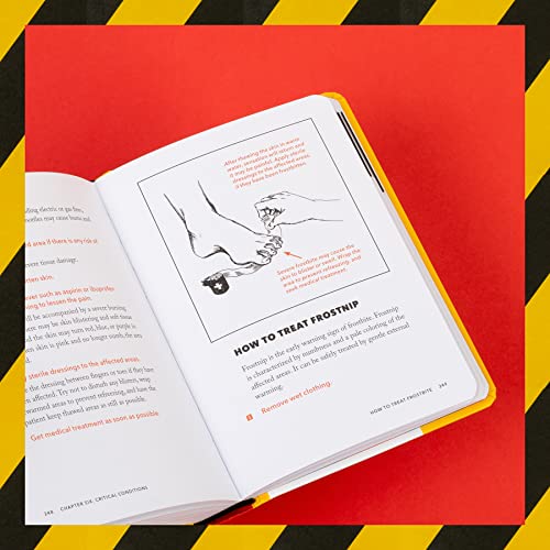 Expert Advice for Extreme Situations Drone