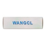 WANGCL S603 2.4GHz 6CH RC Receiver with Dual Antenna