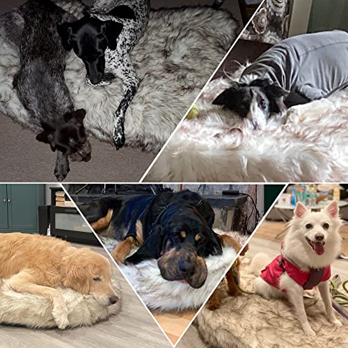 Luxury Faux Fur Memory Foam Dog Bed