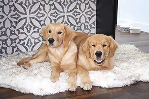 PAW Brands Puprug Orthopedic Dog Bed (Giant Size)