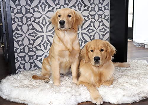 PAW Brands Puprug Orthopedic Dog Bed (Giant Size)