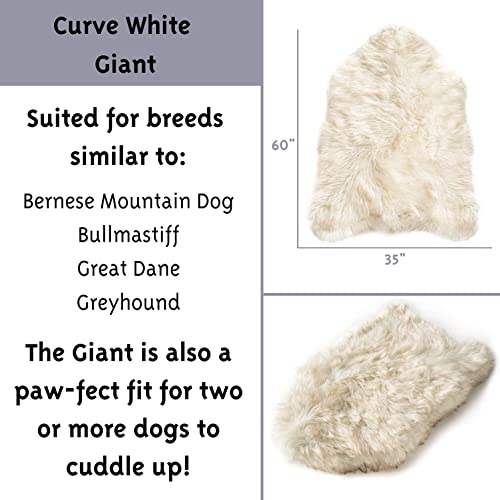 PAW Brands Puprug Orthopedic Dog Bed (Giant Size)