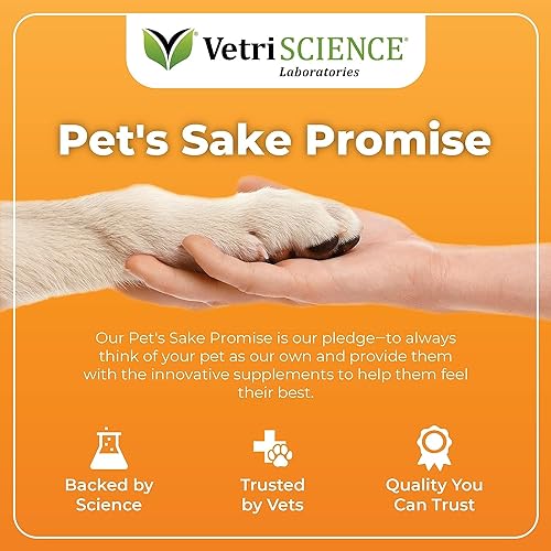 Hip & Joint Supplement + MultiVitamin for Senior Dogs