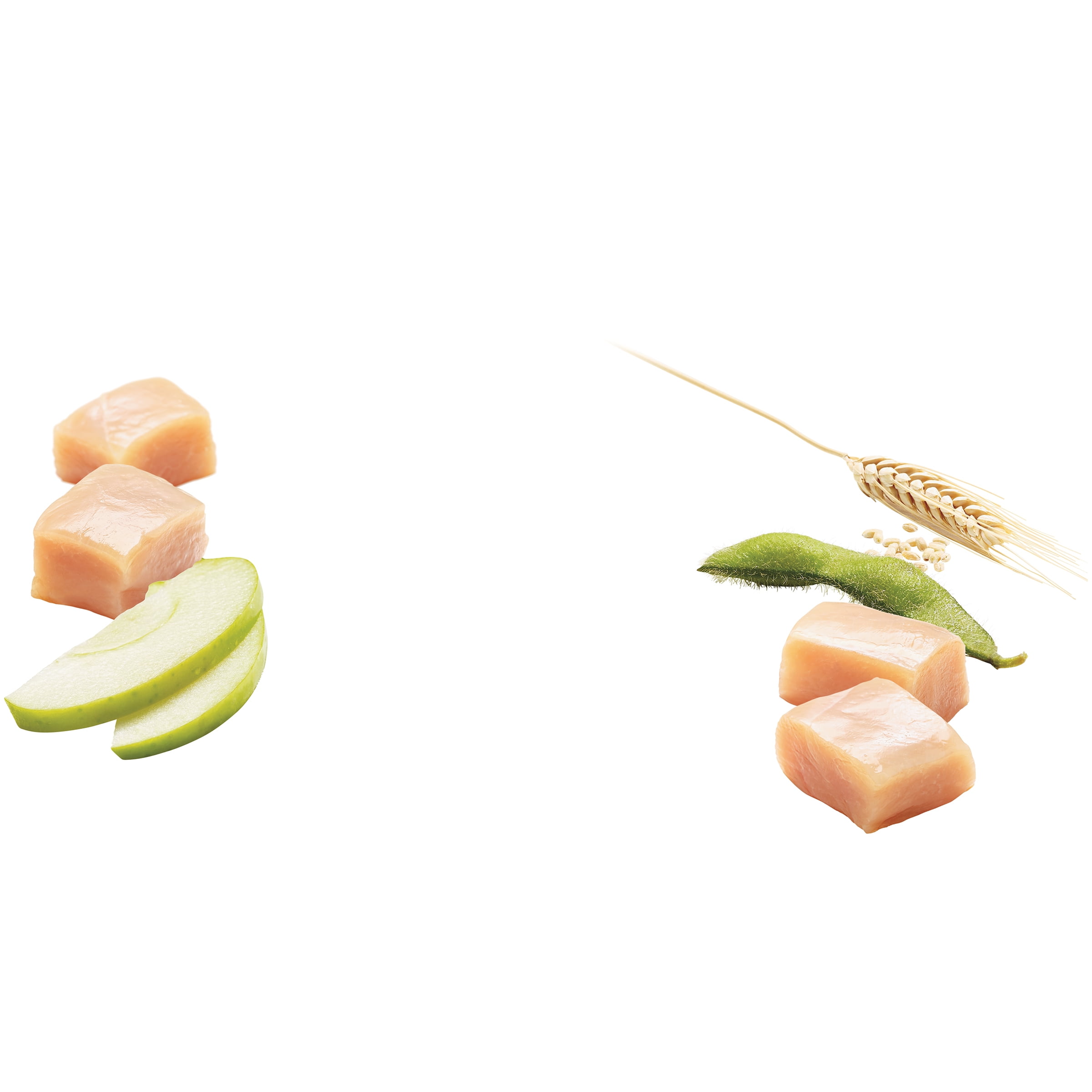 Healthy Weight Chicken Dog Food - 40 lbs