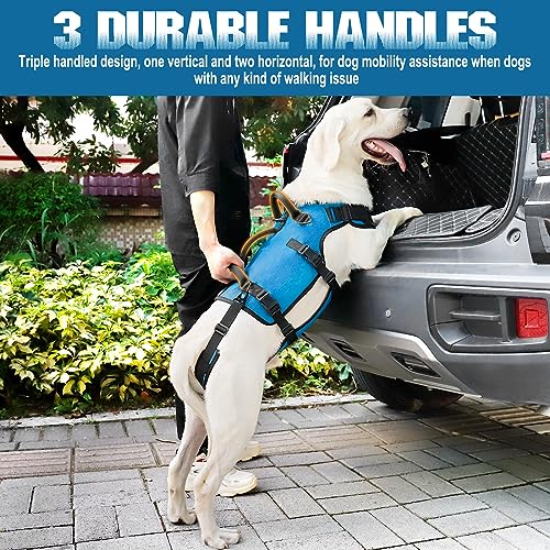 Large Elderly Dog Lift Harness - Support and Carrier