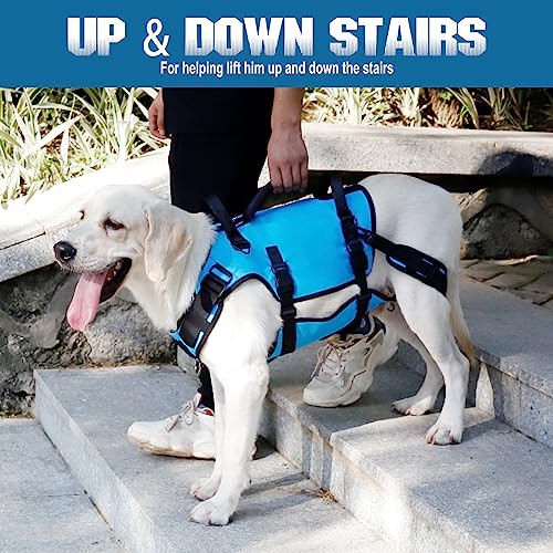 Large Elderly Dog Lift Harness - Support and Carrier