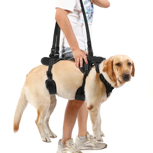 NOYAL Dog Lift Harness for Old or Disabled Dogs