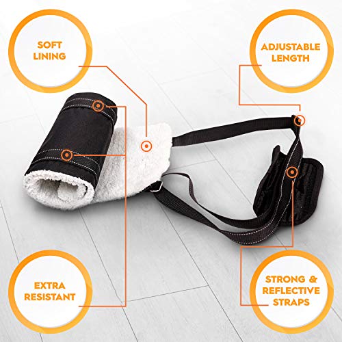 Dog Support Harness for Rear Legs - Rehabilitation Sling