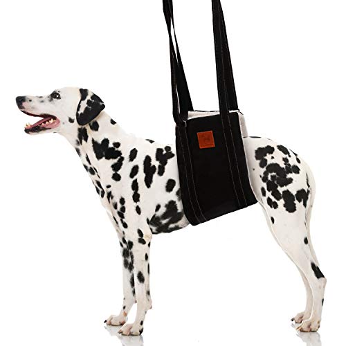 Dog Support Harness for Rear Legs - Rehabilitation Sling