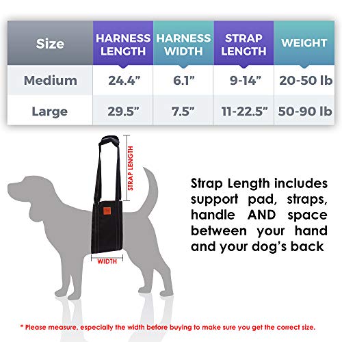 Dog Support Harness for Rear Legs - Rehabilitation Sling