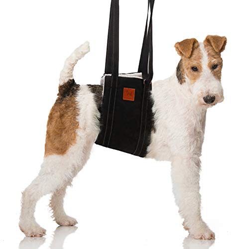 Dog Support Harness for Rear Legs - Rehabilitation Sling