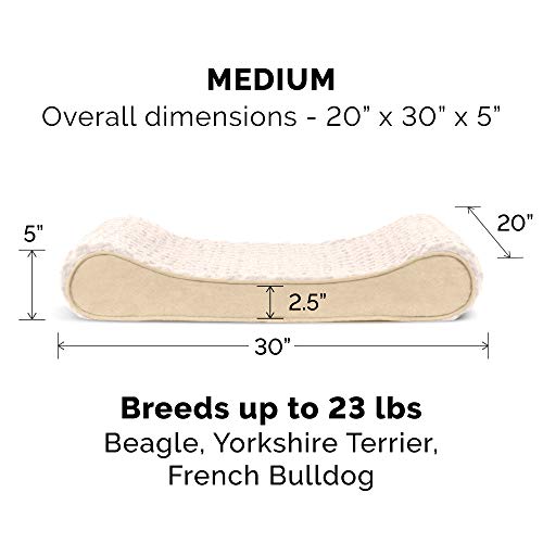 Luxury Orthopedic Dog Bed for Small/Medium Dogs