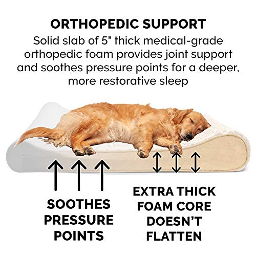 Luxury Orthopedic Dog Bed for Small/Medium Dogs