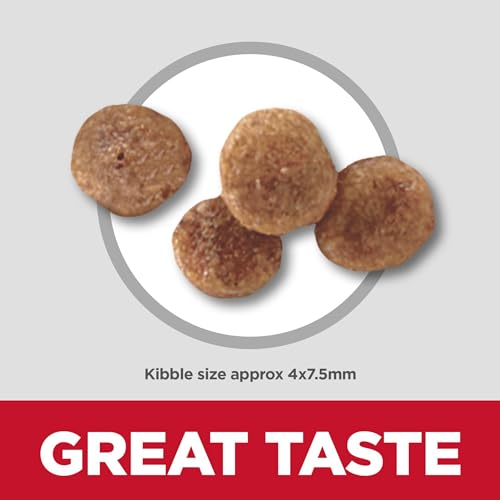 Hill's Science Diet Dry Dog Food, Small Paws